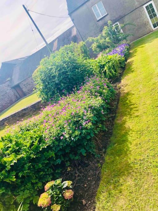 Cosy Farmhouse Escape In Monmouthshire Villa Wolves Newton Ngoại thất bức ảnh